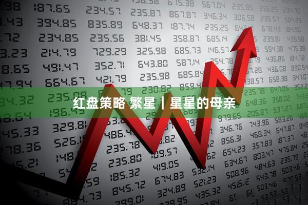 红盘策略 繁星｜星星的母亲