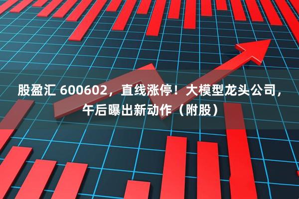 股盈汇 600602，直线涨停！大模型龙头公司，午后曝出新动作（附股）
