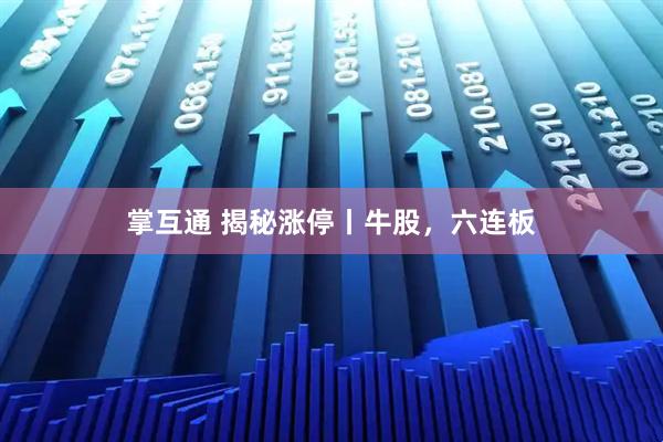 掌互通 揭秘涨停丨牛股，六连板