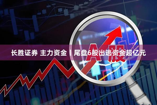 长胜证券 主力资金丨尾盘6股出逃资金超亿元