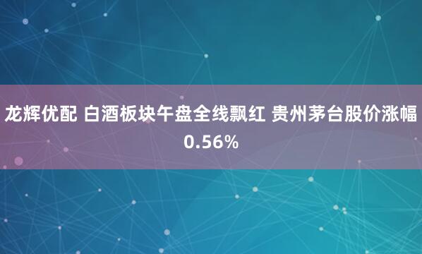 龙辉优配 白酒板块午盘全线飘红 贵州茅台股价涨幅0.56%
