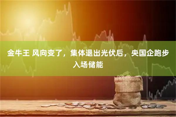 金牛王 风向变了，集体退出光伏后，央国企跑步入场储能