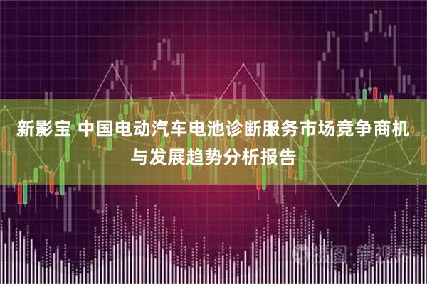 新影宝 中国电动汽车电池诊断服务市场竞争商机与发展趋势分析报告
