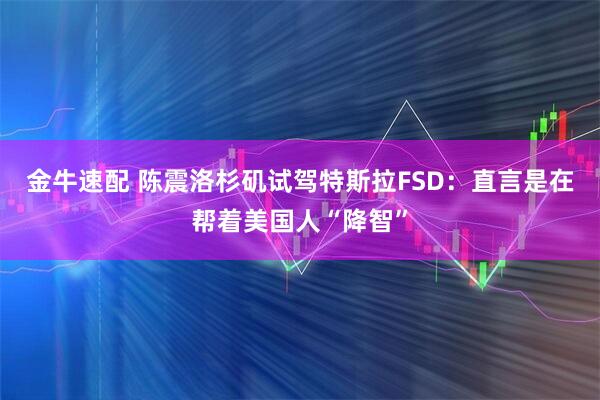 金牛速配 陈震洛杉矶试驾特斯拉FSD：直言是在帮着美国人“降智”