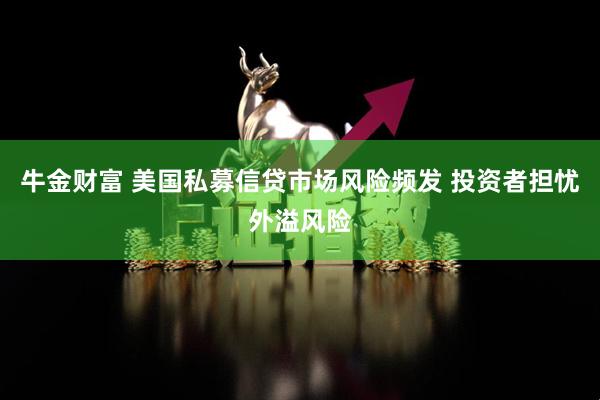 牛金财富 美国私募信贷市场风险频发 投资者担忧外溢风险