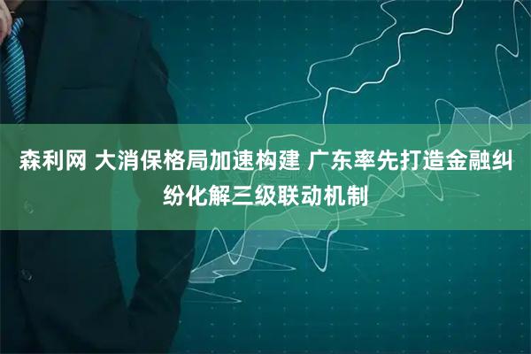 森利网 大消保格局加速构建 广东率先打造金融纠纷化解三级联动机制