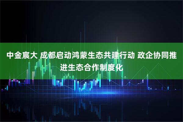 中金宸大 成都启动鸿蒙生态共建行动 政企协同推进生态合作制度化