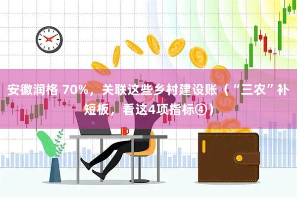 安徽润格 70%,关联这些乡村建设账(“三农”补短板,看这4项指标④)