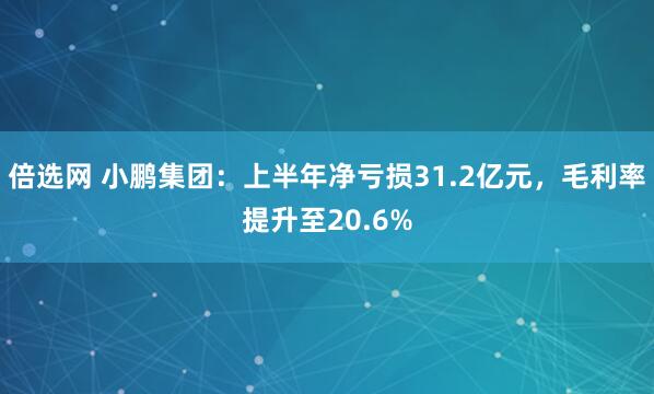 倍选网 小鹏集团:上半年净亏损31.2亿元,毛利率提升至20.6%